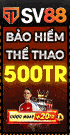 right banner